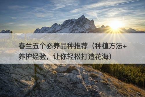 春兰五个必养品种推荐（种植方法+养护经验，让你轻松打造花海）