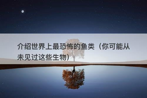 介绍世界上最恐怖的鱼类（你可能从未见过这些生物）