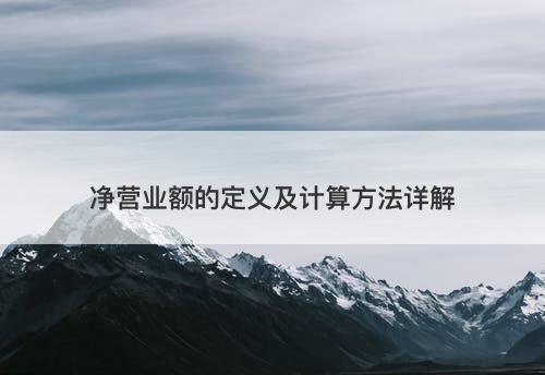 净营业额的定义及计算方法详解