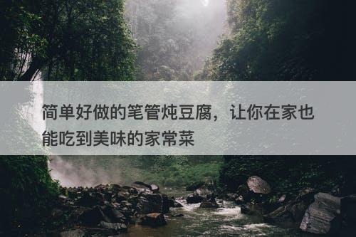 简单好做的笔管炖豆腐，让你在家也能吃到美味的家常菜