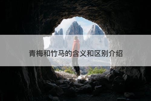 青梅和竹马的含义和区别介绍