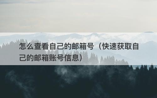 怎么查看自己的邮箱号（快速获取自己的邮箱账号信息）