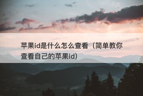 苹果id是什么怎么查看（简单教你查看自己的苹果id）