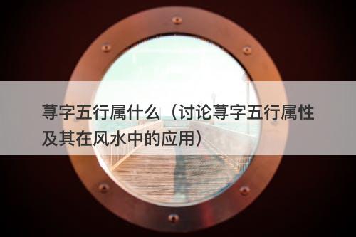 荨字五行属什么（讨论荨字五行属性及其在风水中的应用）