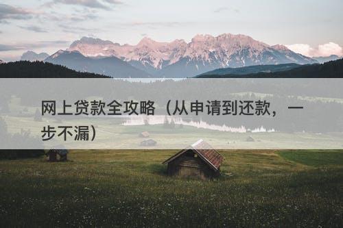 网上贷款全攻略（从申请到还款，一步不漏）