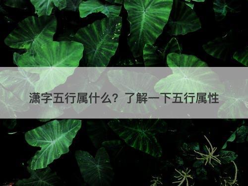 潇字五行属什么？了解一下五行属性
