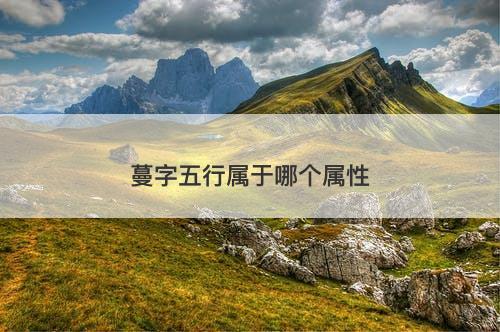 蔓字五行属于哪个属性
