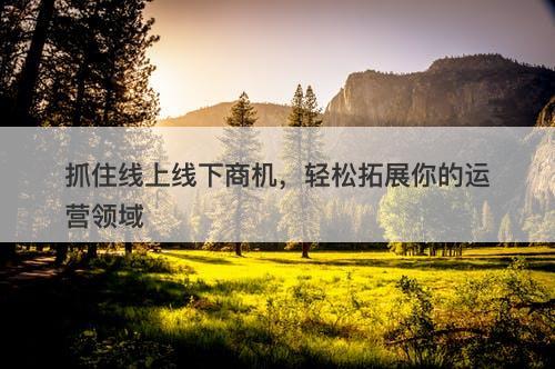 抓住线上线下商机，轻松拓展你的运营领域
