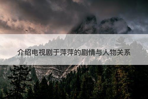 介绍电视剧于萍萍的剧情与人物关系