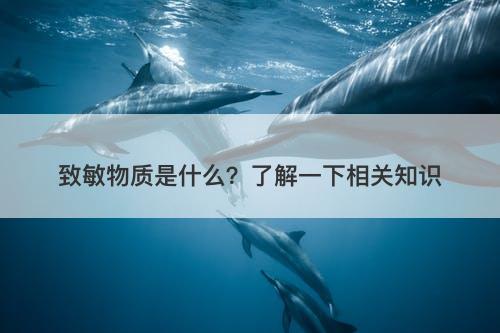 致敏物质是什么？了解一下相关知识