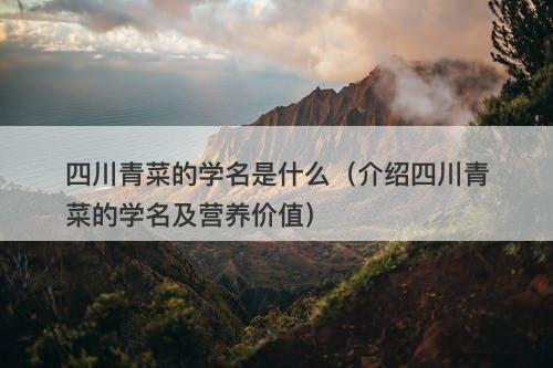 四川青菜的学名是什么（介绍四川青菜的学名及营养价值）