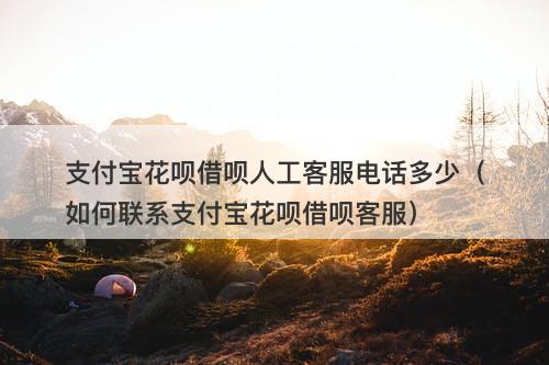 支付宝花呗借呗人工客服电话多少（如何联系支付宝花呗借呗客服）