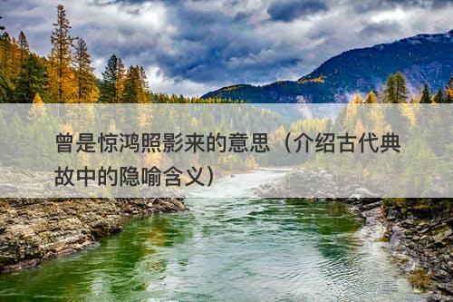 曾是惊鸿照影来的意思（介绍古代典故中的隐喻含义）
