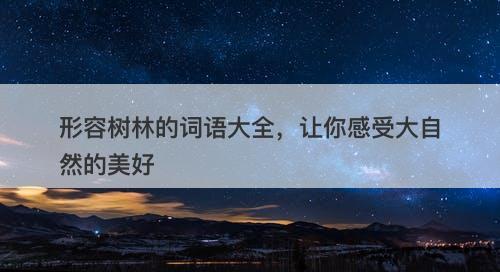 形容树林的词语大全，让你感受大自然的美好