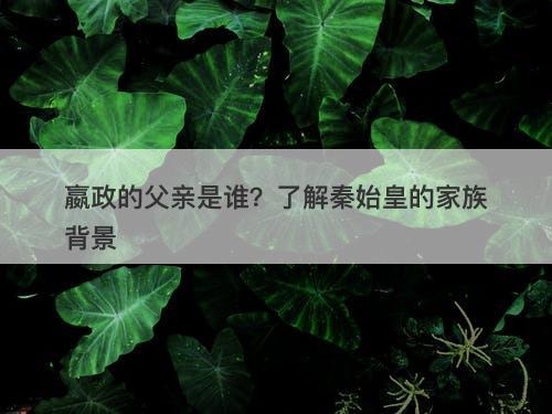 嬴政的父亲是谁？了解秦始皇的家族背景