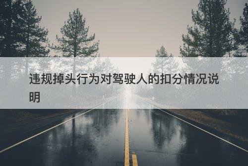违规掉头行为对驾驶人的扣分情况说明