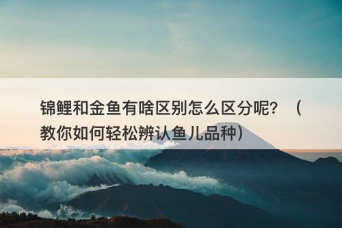 锦鲤和金鱼有啥区别怎么区分呢？（教你如何轻松辨认鱼儿品种）