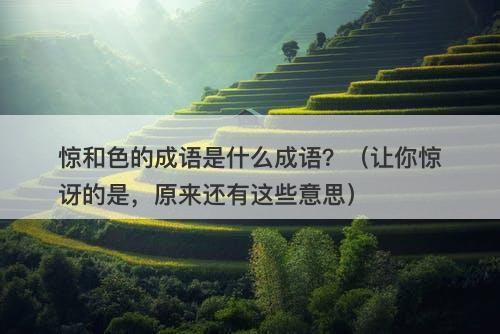 惊和色的成语是什么成语？（让你惊讶的是，原来还有这些意思）