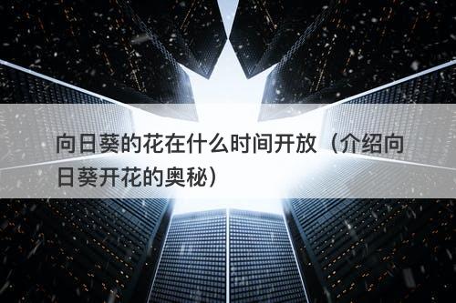 向日葵的花在什么时间开放（介绍向日葵开花的奥秘）