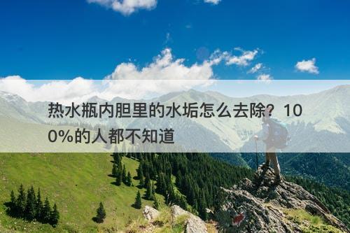 热水瓶内胆里的水垢怎么去除？100%的人都不知道