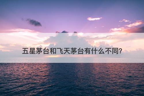 五星茅台和飞天茅台有什么不同？