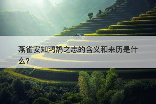燕雀安知鸿鹄之志的含义和来历是什么？
