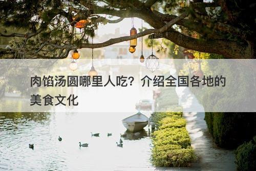肉馅汤圆哪里人吃？介绍全国各地的美食文化