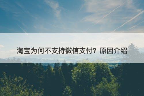 淘宝为何不支持微信支付？原因介绍