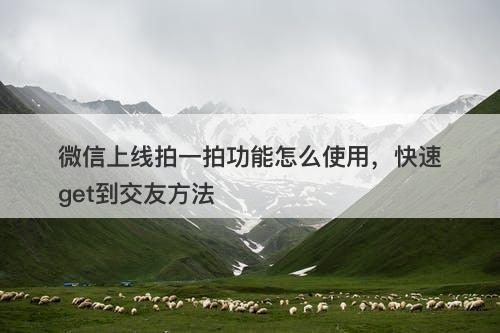 微信上线拍一拍功能怎么使用，快速get到交友方法