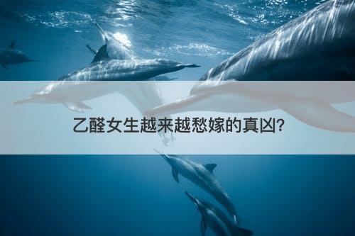 乙醛女生越来越愁嫁的真凶？