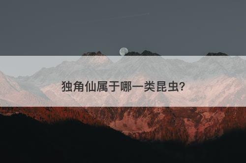 独角仙属于哪一类昆虫？
