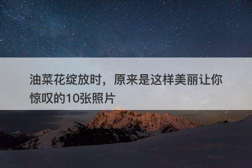 油菜花绽放时，原来是这样美丽让你惊叹的10张照片-图1