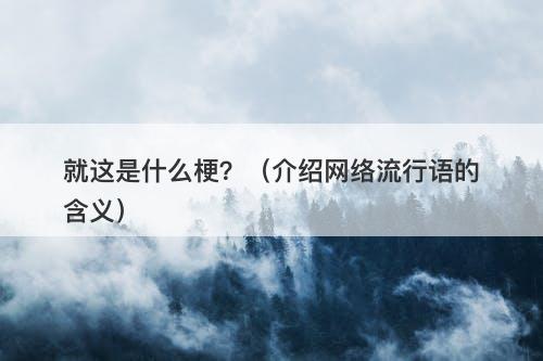 就这是什么梗？（介绍网络流行语的含义）