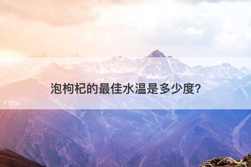 泡枸杞的最佳水温是多少度？