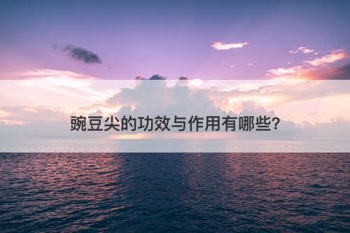 豌豆尖的功效与作用有哪些？