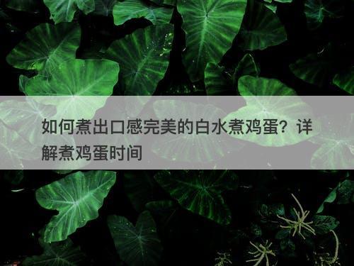 如何煮出口感完美的白水煮鸡蛋？详解煮鸡蛋时间