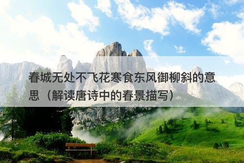 春城无处不飞花寒食东风御柳斜的意思（解读唐诗中的春景描写）