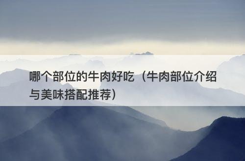 哪个部位的牛肉好吃（牛肉部位介绍与美味搭配推荐）