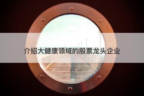 介绍大健康领域的股票龙头企业