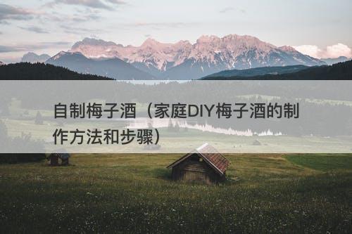 自制梅子酒（家庭DIY梅子酒的制作方法和步骤）