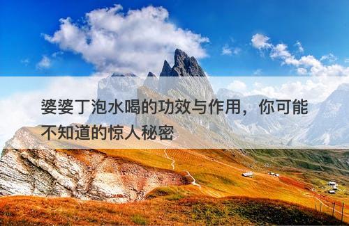婆婆丁泡水喝的功效与作用，你可能不知道的惊人秘密