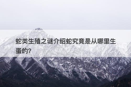 蛇类生殖之谜介绍蛇究竟是从哪里生蛋的？