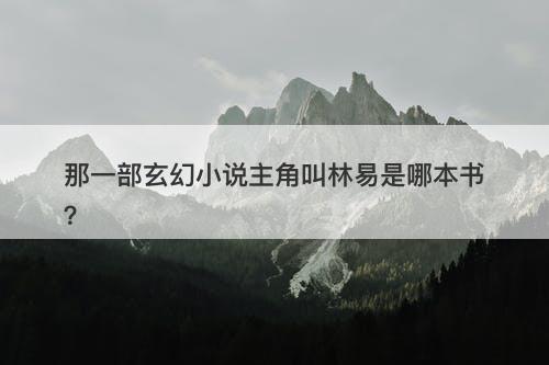 那一部玄幻小说主角叫林易是哪本书？