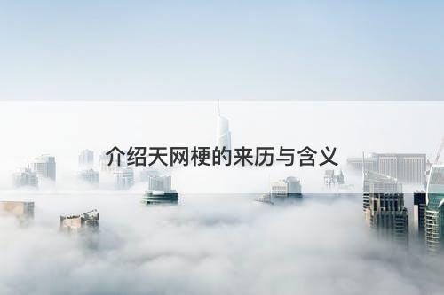 介绍天网梗的来历与含义