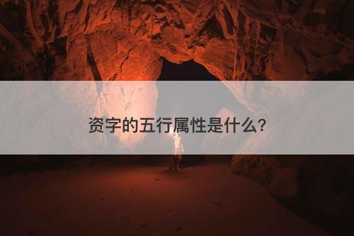 资字的五行属性是什么？