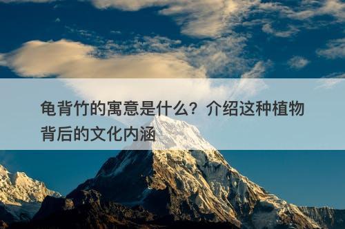 龟背竹的寓意是什么？介绍这种植物背后的文化内涵