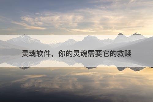 灵魂软件，你的灵魂需要它的救赎