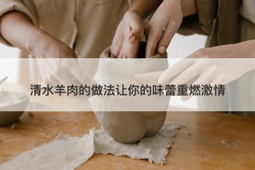 清水羊肉的做法让你的味蕾重燃激情