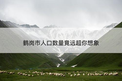 鹤岗市人口数量竟远超你想象