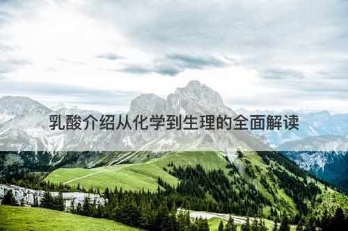 乳酸介绍从化学到生理的全面解读